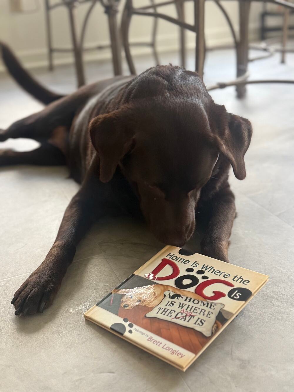 Home Is Where the Dog Is Brett Longley Hardcover Dog Art Gift Book 2007